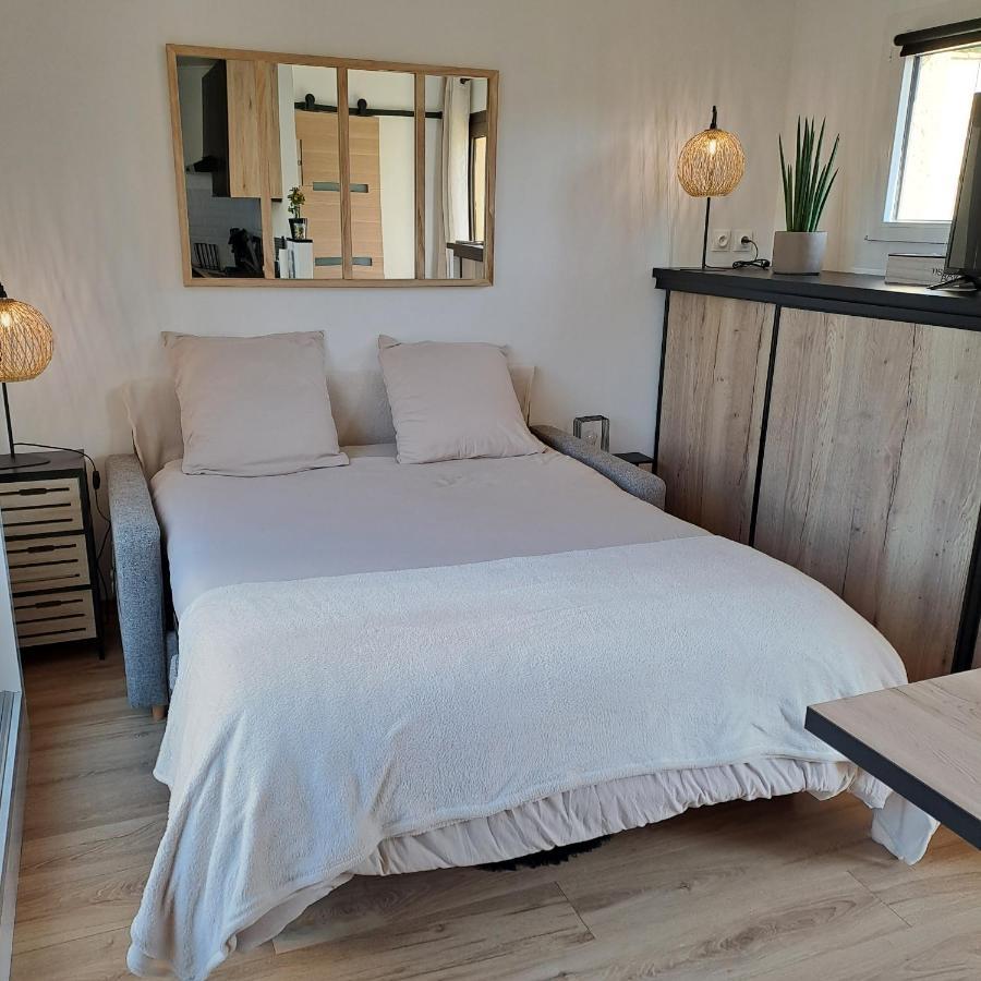 Studio Climatise Cosy Avec Grande Piscine Chauffee Agde Εξωτερικό φωτογραφία